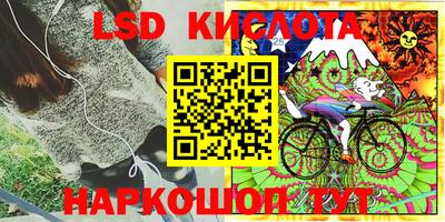 apvp Гай