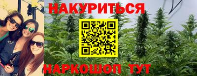 apvp Гай