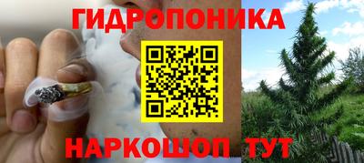 спиды Гатчина