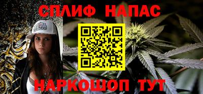 спиды Гатчина