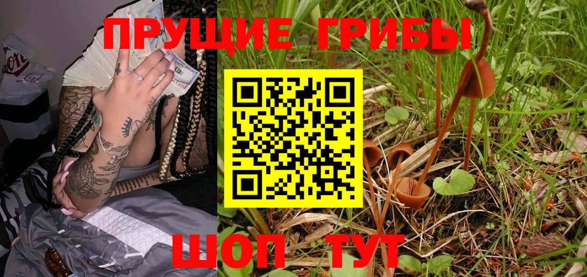 Семёнов  Псилоцибиновые грибы мицелий  Псилоцибиновые грибы GOLDEN TEACHER  Вход с VPN 