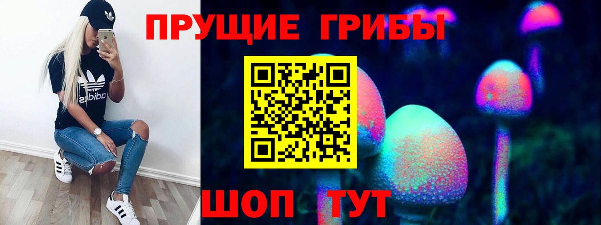 Псилоцибиновые грибы Cubensis Семёнов